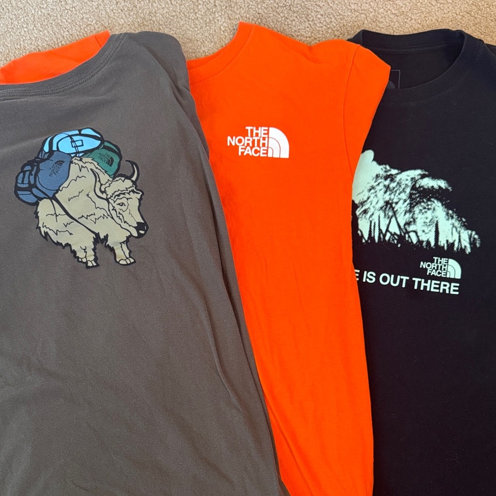 The North Face Men’s L Tee Bundle